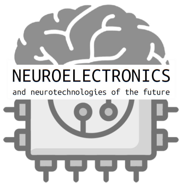 I school-conference with international participation "Neuroelectronics and neurotechnologies of the future"